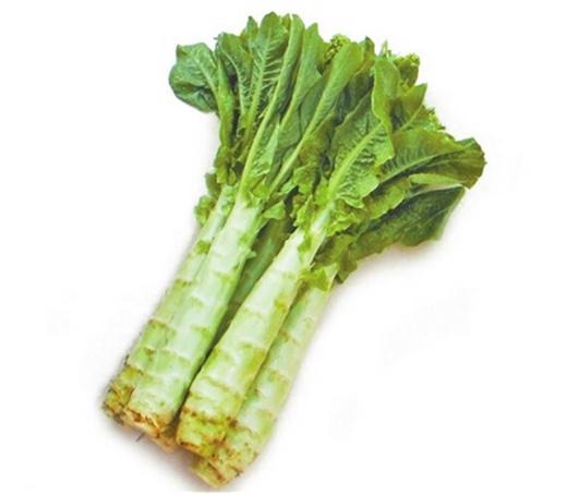引領(lǐng)綠色潮流，加入蔬菜配送新時(shí)代