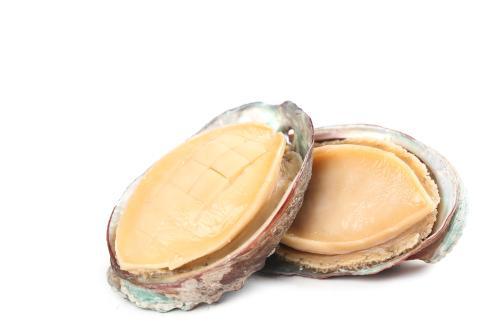 鮑魚(yú)