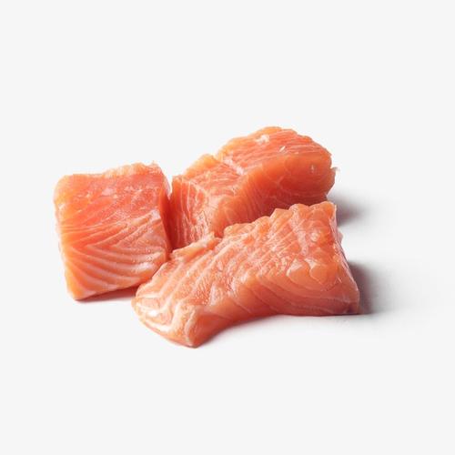 鮭魚(yú)