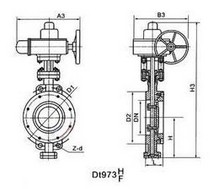 1587025154611925.jpg 1.jpg